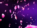 3D花瓣飘落唯美LED大屏幕 (336播放)